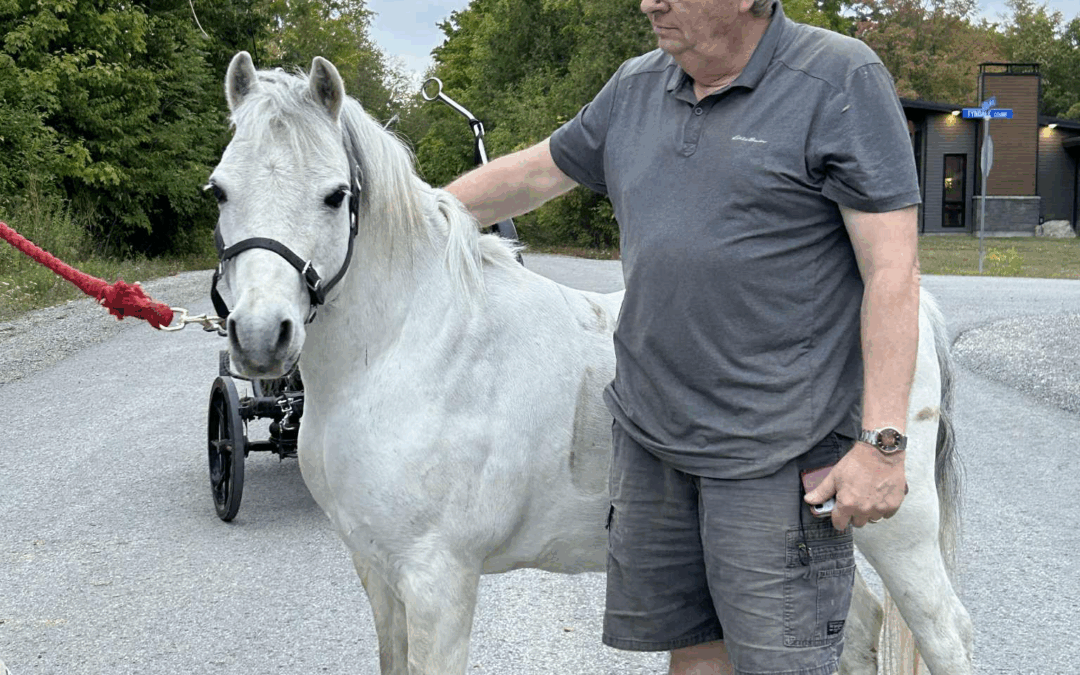Blessing of the Animals